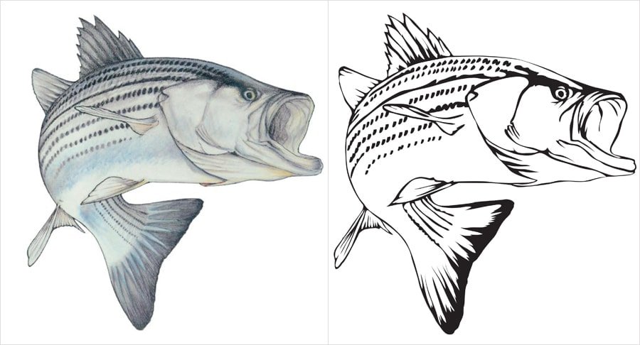 black-and-white-line-drawing